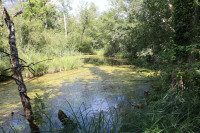 Réserve Naturelle Marais de Lavours